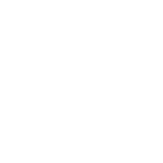 icon pragmatisch